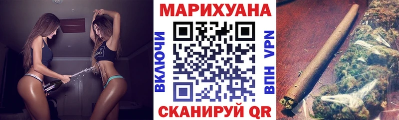 Конопля конопля Тайга